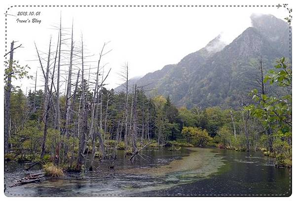 20151001_岳澤濕原