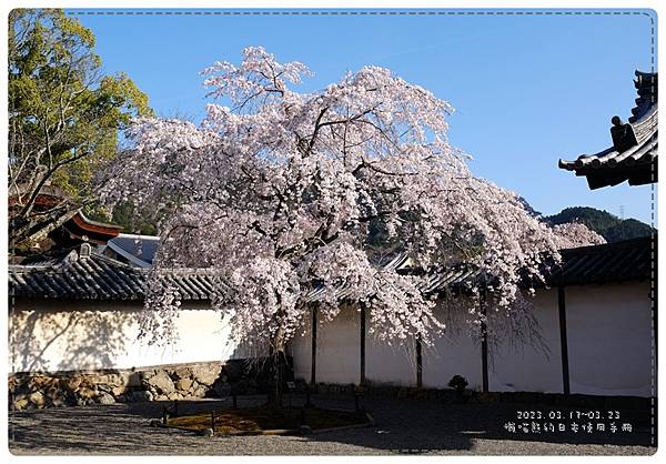 20230321_醍醐寺三寶院.JPG