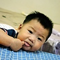 110811_10_宥毛2Y7M.jpg