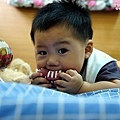 110811_16_宥毛2Y7M.jpg