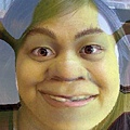 3135636482-c9587a337b-o-jpg--Shrek.jpeg.jpg