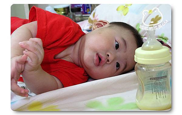 090715_12_呱呱6M.jpg
