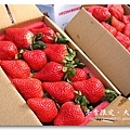 091227_36_大湖草莓.jpg