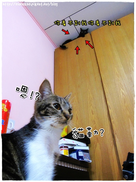 IMG_0899.jpg IMG_0899.jpg