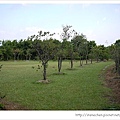 桃園烏樹林38-活脫就像小公園的戶外區.jpg