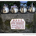 七星山練爬20.jpg