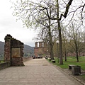 IMG_8942
