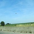 IMG_4394.jpg