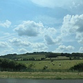 IMG_4412.jpg