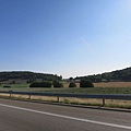 IMG_4425.jpg