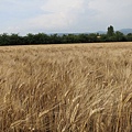 46IMG_5396.jpg