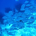 IMG_0159_副本.jpg