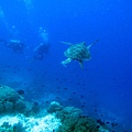 IMG_0154_副本.jpg