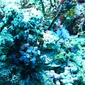 IMG_0155_副本.jpg