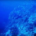 IMG_0158_副本1.jpg