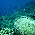 IMG_0187_副本.jpg