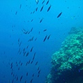 IMG_0179_副本.jpg