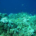 IMG_0189_副本.jpg