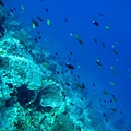 IMG_0230_副本.jpg