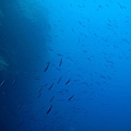 IMG_0294_副本.jpg