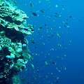 IMG_0296_副本.jpg