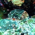 IMG_0274_副本.jpg