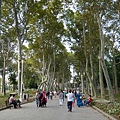 119P1090950.jpg