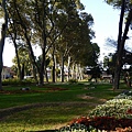 121P1090987.jpg