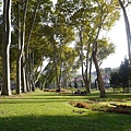 123P1090990.jpg