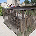 52IMG_5259.jpg