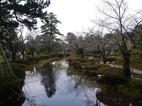 62P1630309.jpg