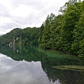 35P1260744.jpg