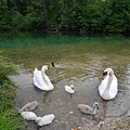 40P1720039.jpg