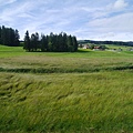 P1720134.jpg