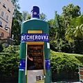 42P1740661.jpg