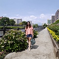 _2070759.jpg