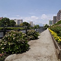 _2070760.jpg