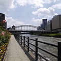 _2070765.jpg