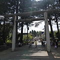 _2070807.jpg