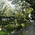_2070835.jpg