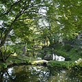 _2070978.jpg