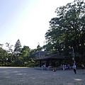 _2070982.jpg