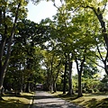 _2070985.jpg