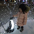 P2160842.jpg