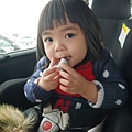 P2160890.jpg