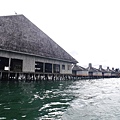 P2200329.jpg