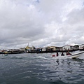 P2200343.jpg