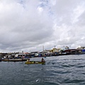 P2200345.jpg