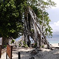 P2200919.jpg
