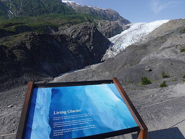 P2580793.JPG P2580793.JPG